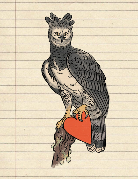Diseño Águila Harpia